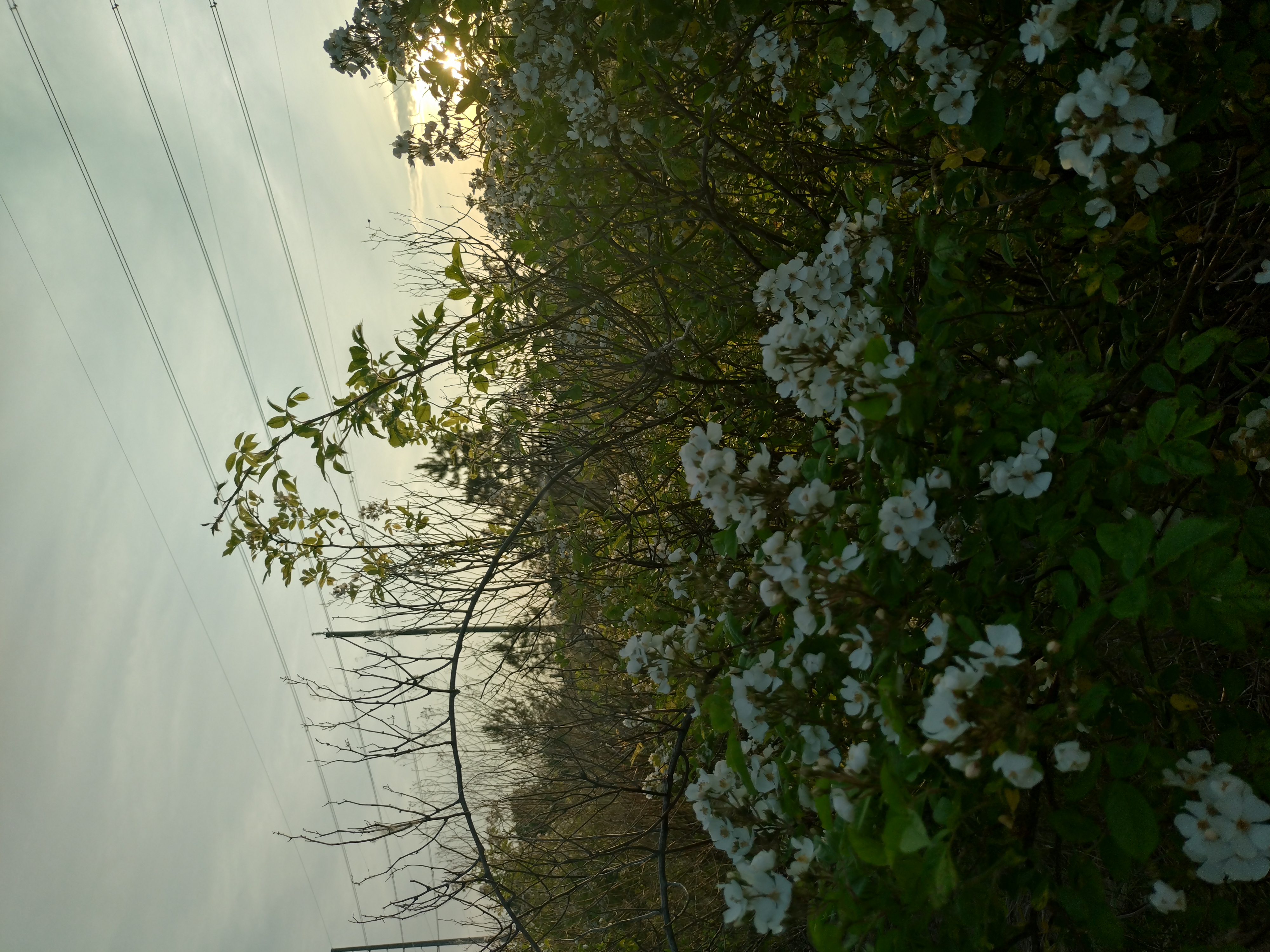 A beautiful sunset over the mountains